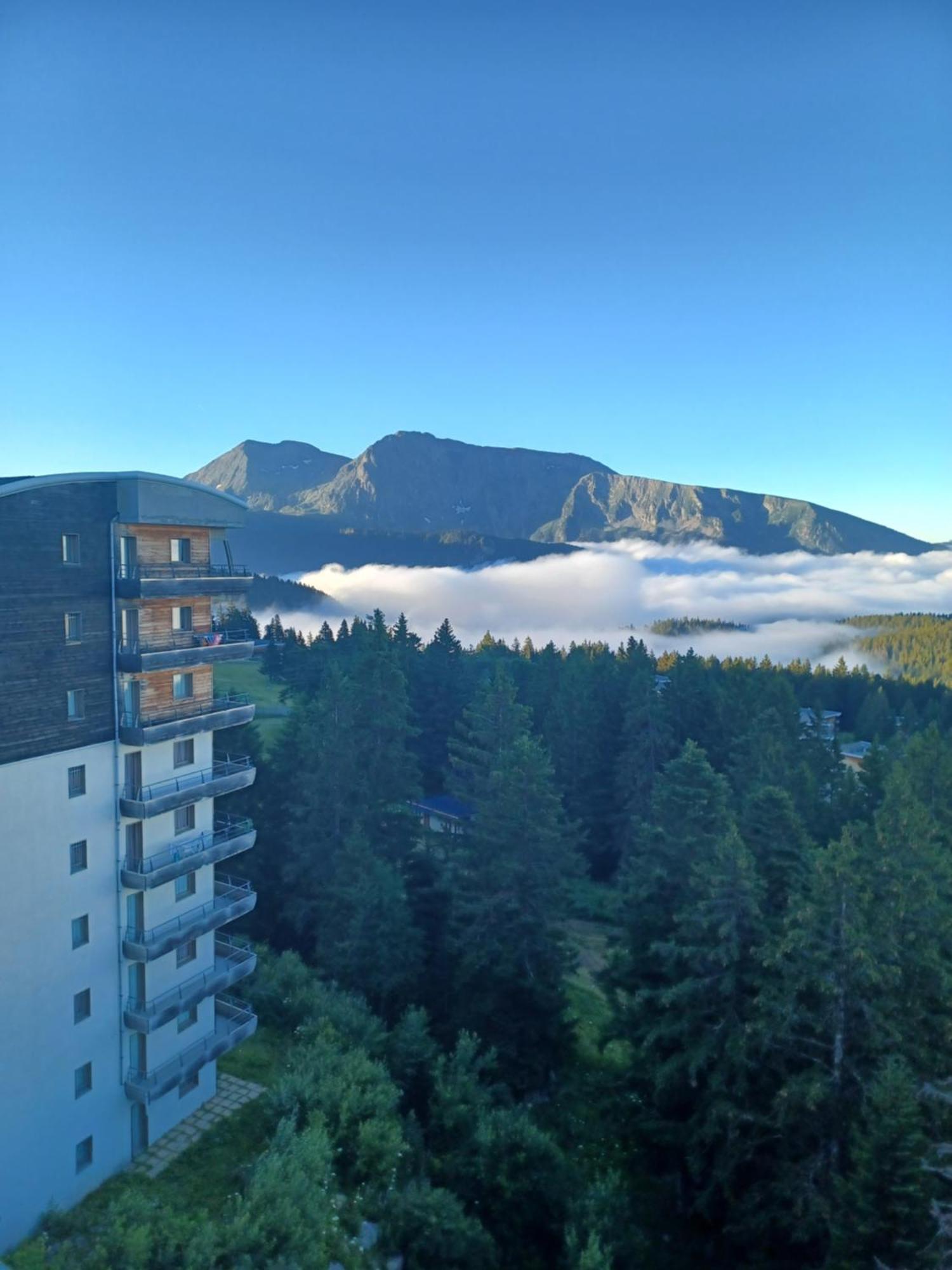 L'ecrin Des Neiges 3* Chamrousse